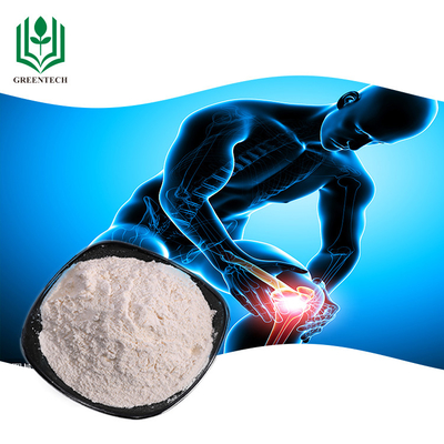 Diyet Takviyesi İçin 80 Mesh 10% Shark Chondroitin Tozu